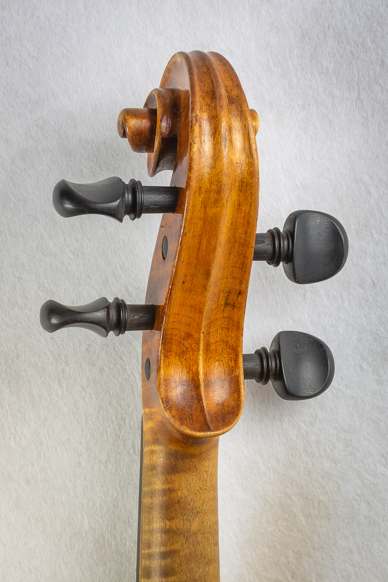 Violin025
