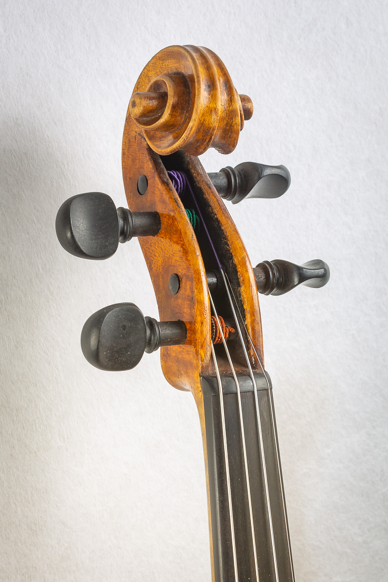 Violin019