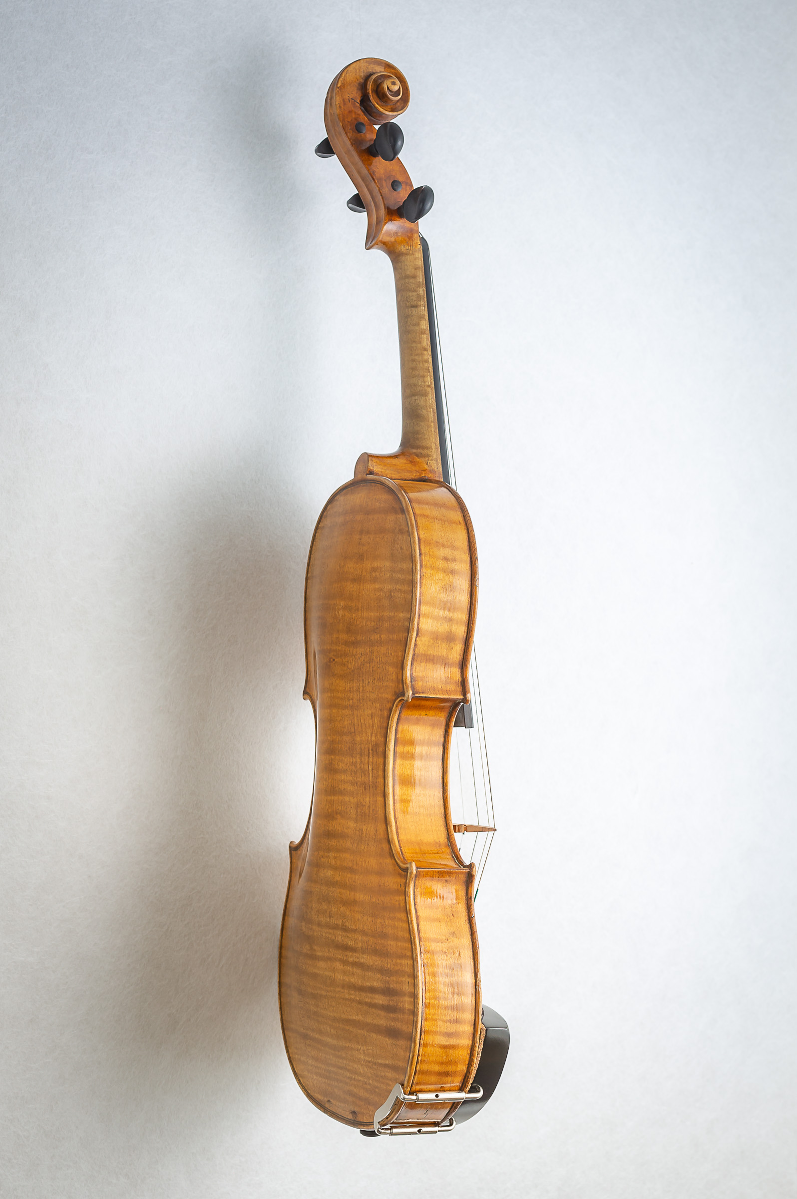 Violin017