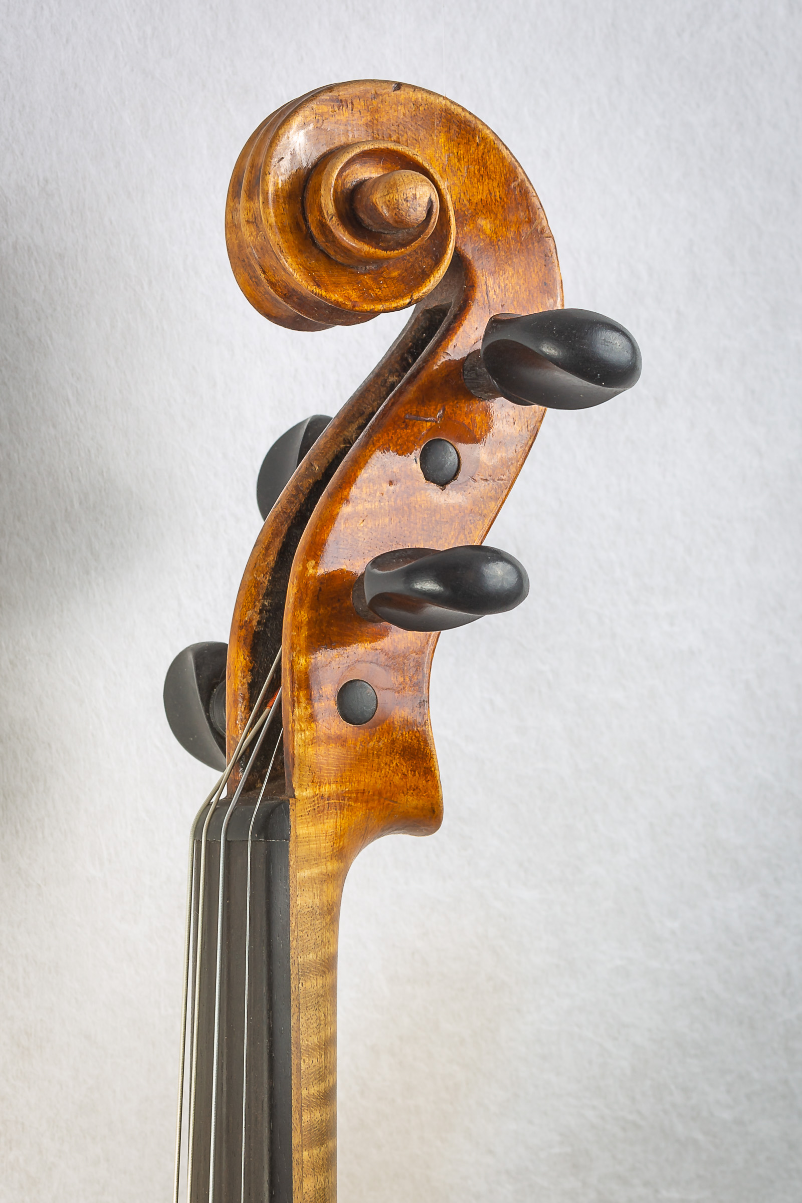 Violin023