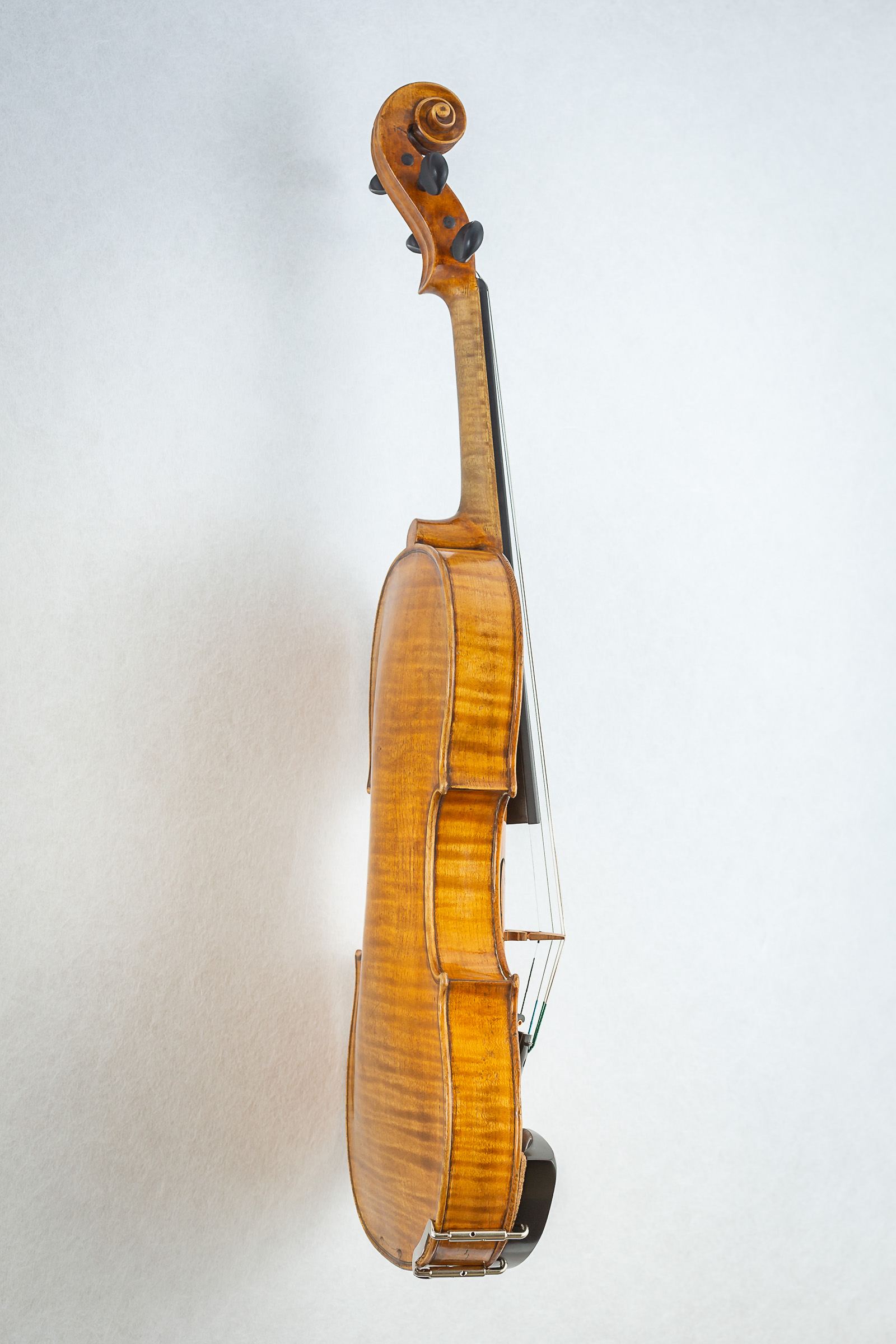 Violin004