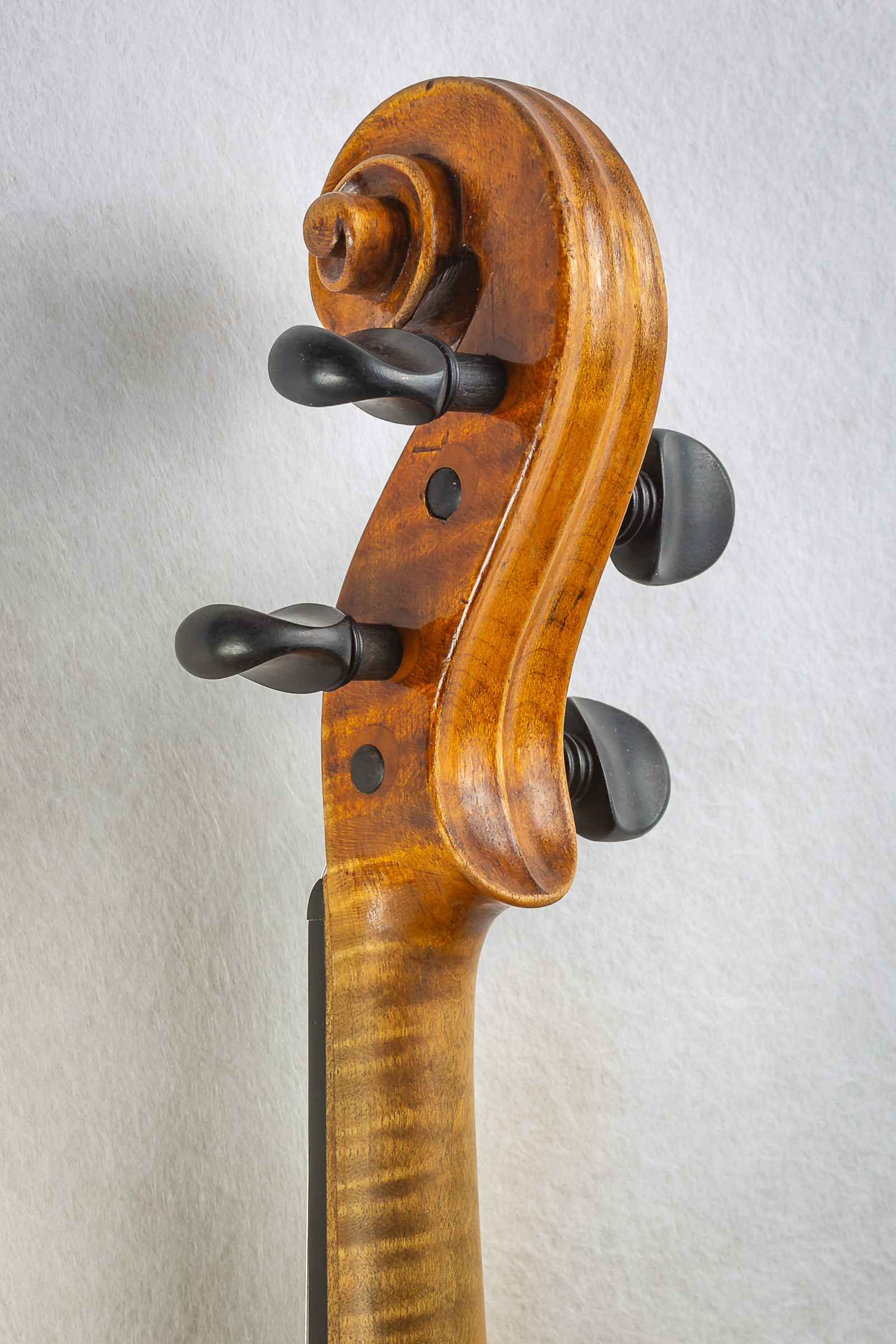 Violin024