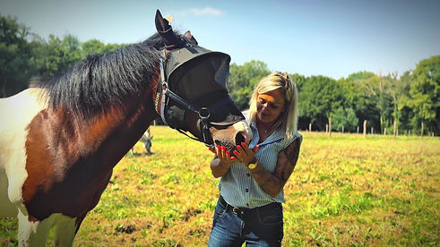 stacy_with_horses.jpg