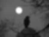March Full Crow Moon