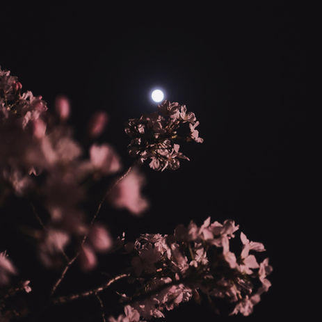 May Full Flower Moon + Lunar Eclipse = Burning Ceremony