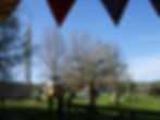 Camping orchard bunting