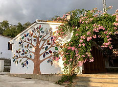 IMG_5744.jpeg