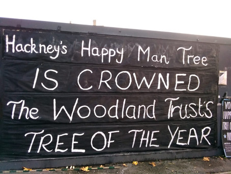 The Woodland Trust on the Happy Man Tree - Tree of the Year