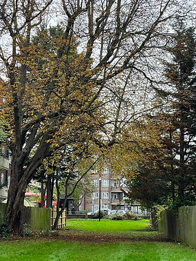 WhatsApp Image 2023-11-21 at 11.56.02.jpeg