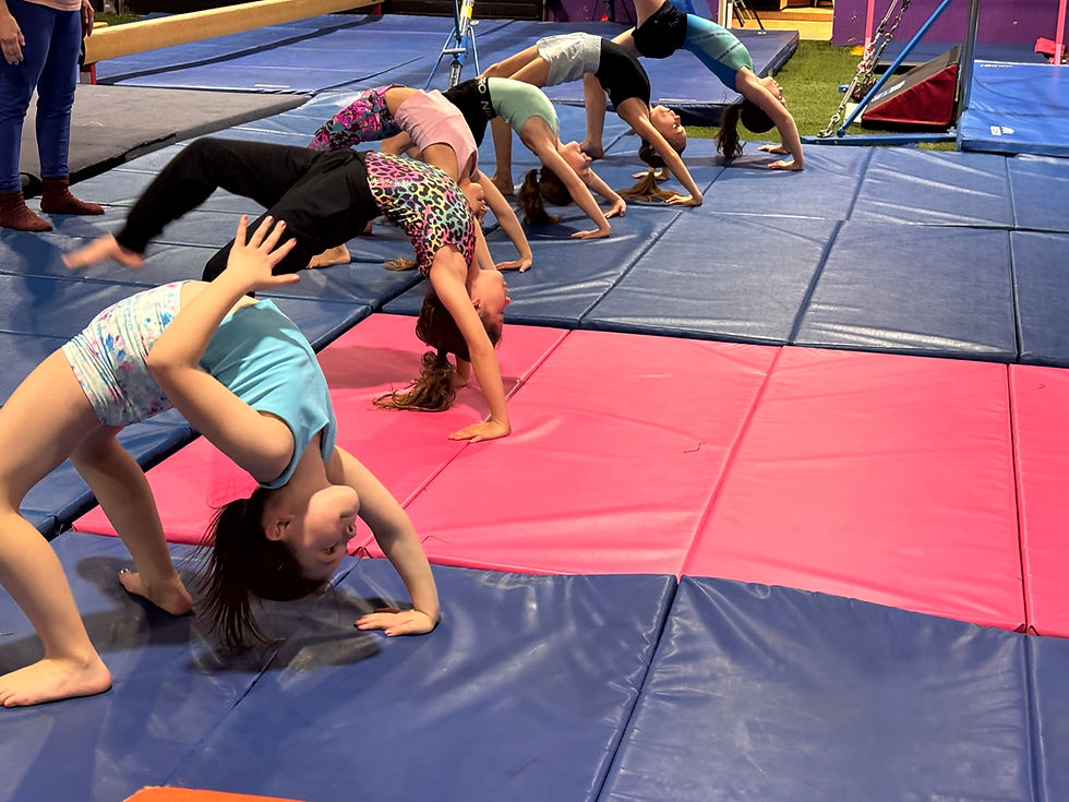Close-up view of a low gymnastics bar in a training gym