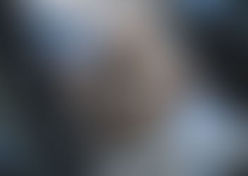 儲哩數狂熱！寵物都有飛行獎賞