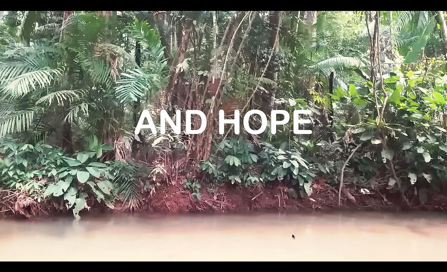 Amazon rainforest in the documentary echoes of the Amazon