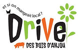 logo drive.jpg