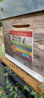 Marion et Martin S.