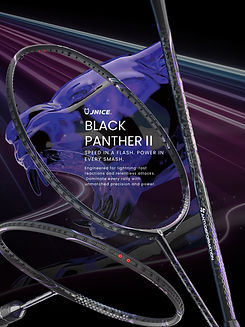 3600x4800pix - 2026-01-12T130743.328.jpg