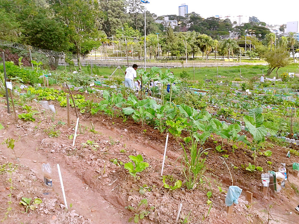 20150623_141502_copy.jpg