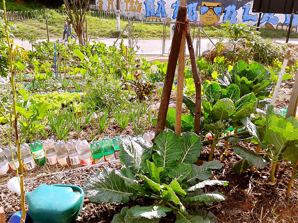 20150623_141540_copy.jpg