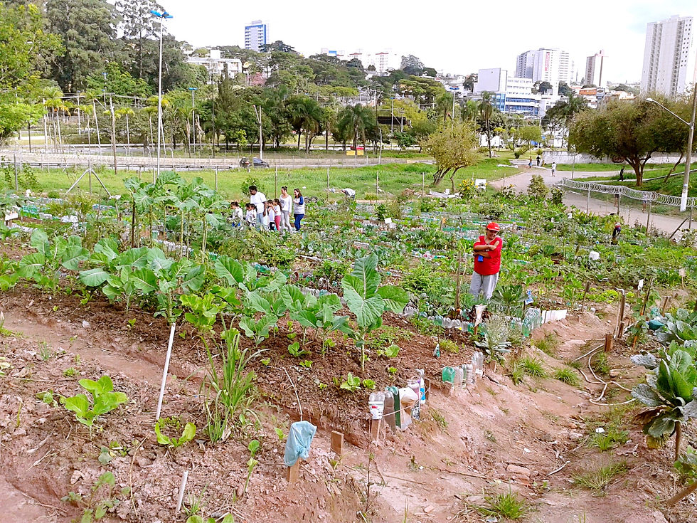 20150623_141439_copy.jpg