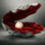 Mitsubishi ToughSoft