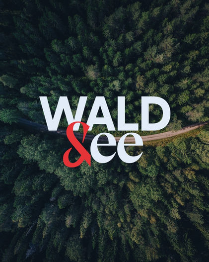 Logo von Wald & See auf einem Luftbild einer Waldlandschaft mit rotem & als verbindendem Markenelement.