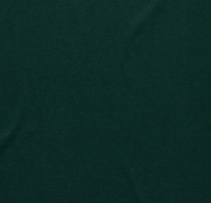 Thumbnail: DYNO Tee Pine Green