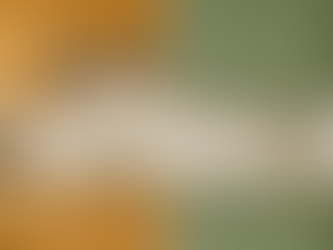 Kitchen Wrapping Dubai: The Ultimate 2025 Guide to Transforming Your Kitchen on a Budget