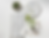 Screen Shot 2025-02-06 at 13.51.31.png