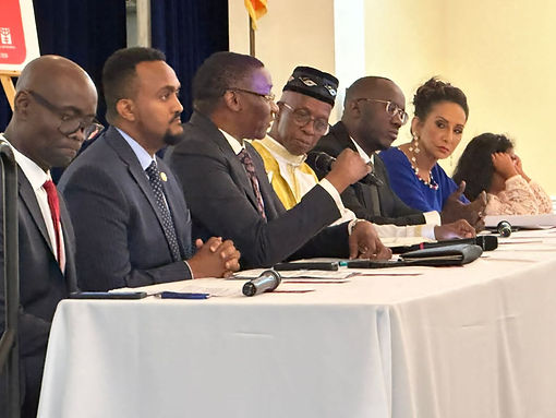 executive commitee gcibforafrica.org.jpeg