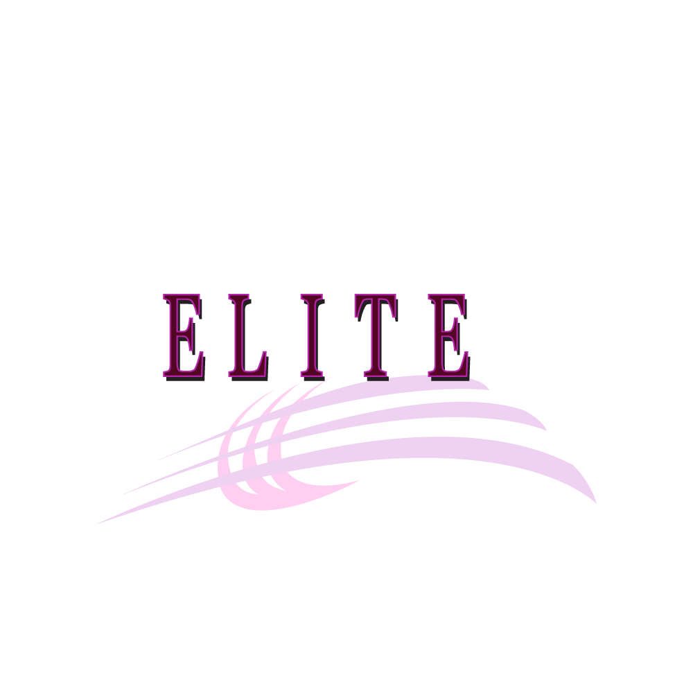 Elite Re-useable Luggage Label