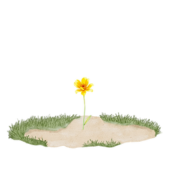 Bloom.png