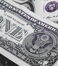 Dollar Bills