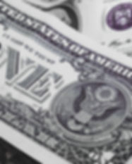 Dollar Bills