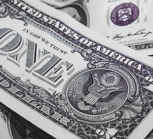 Dollar Bills