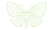 Butterfly for website.png