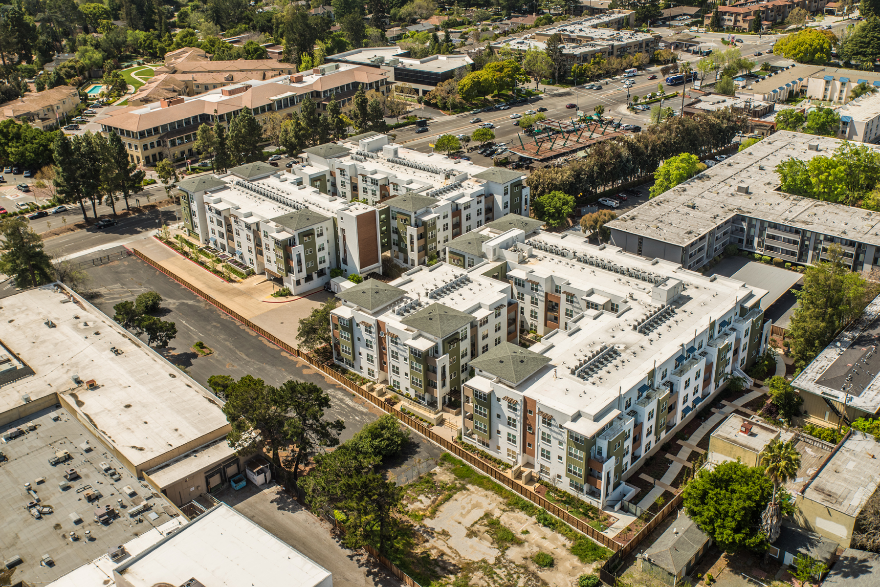 Domus, Mountain View