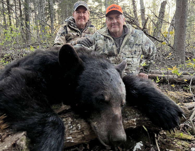 Black Bear Hunts