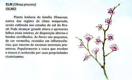 texto 42.jpg