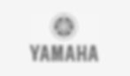 Yamaha ebike