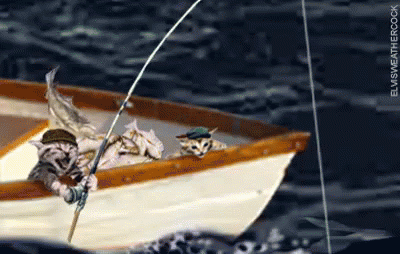 fish-71.gif