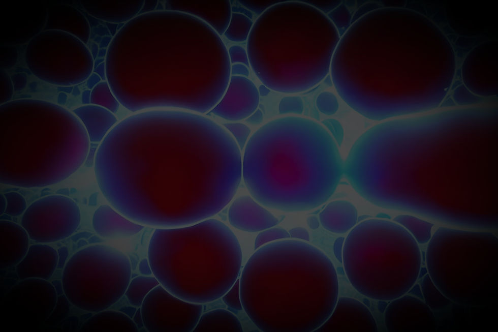 The Parable of The Circulatory System 14_edited.jpg