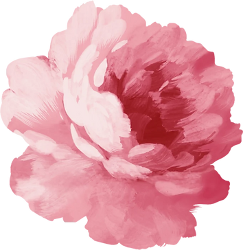 s1200%20(1)_edited.png