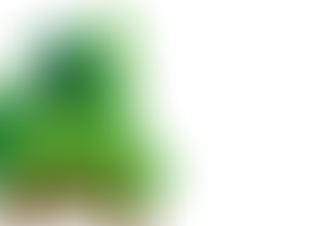 Minimum Viable Product: eine Metapher mit Elefanten!