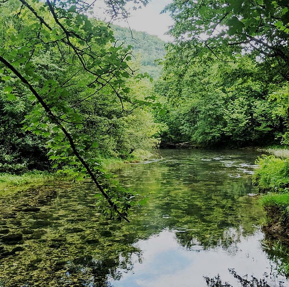 izvor-rijeke-ribnik_edited.jpg