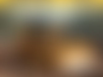 Bulldozer Operator Certificate