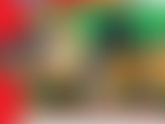 Front end loader training