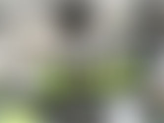 Winch operator training school