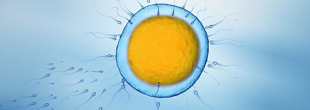 Relação-entre-Obesidade-e-fertilidade-min-1400x500.jpeg