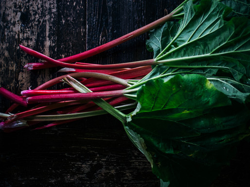 rhubarb in the rain