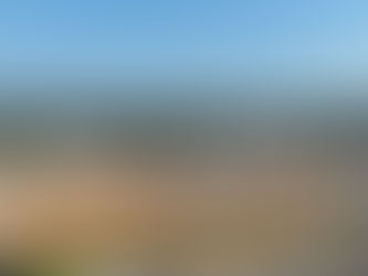 Environmental Considerations in Site Preparation