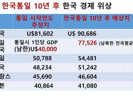 대한민국 미래
